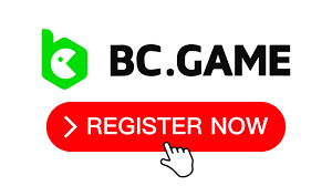 Understanding the Privacy Policy of BC.Game Understanding the Privacy Policy of BC.Game